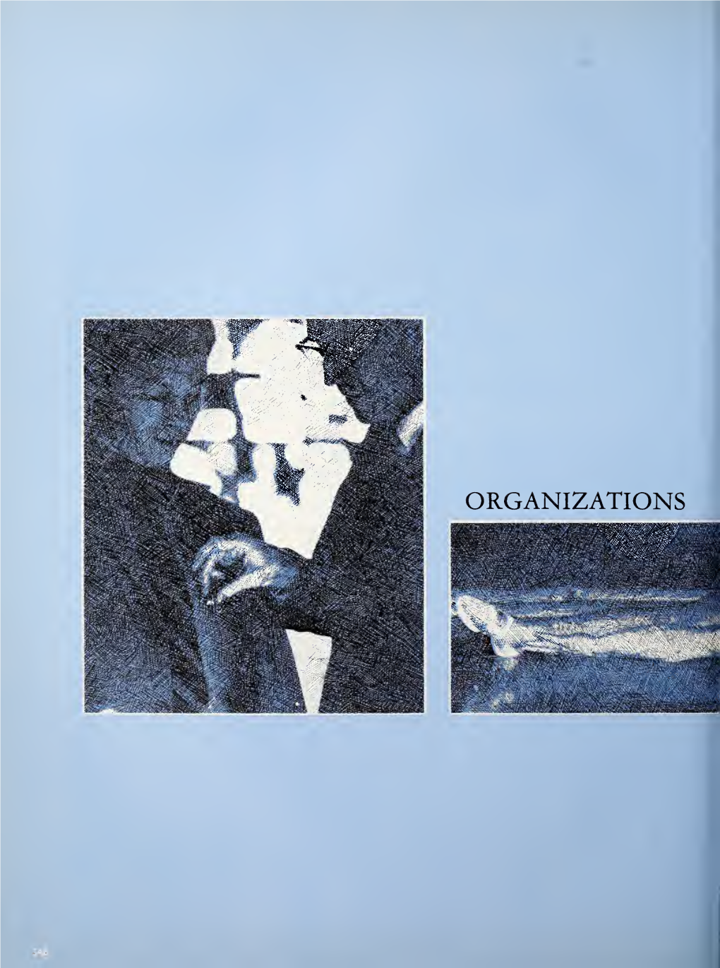 ORGANIZATIONS Mi