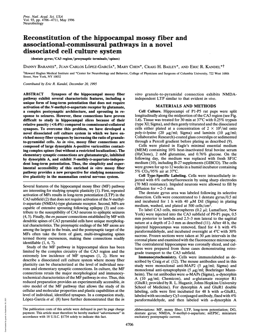 Reconstitution of the Hippocampal Mossy Fiber and Associational