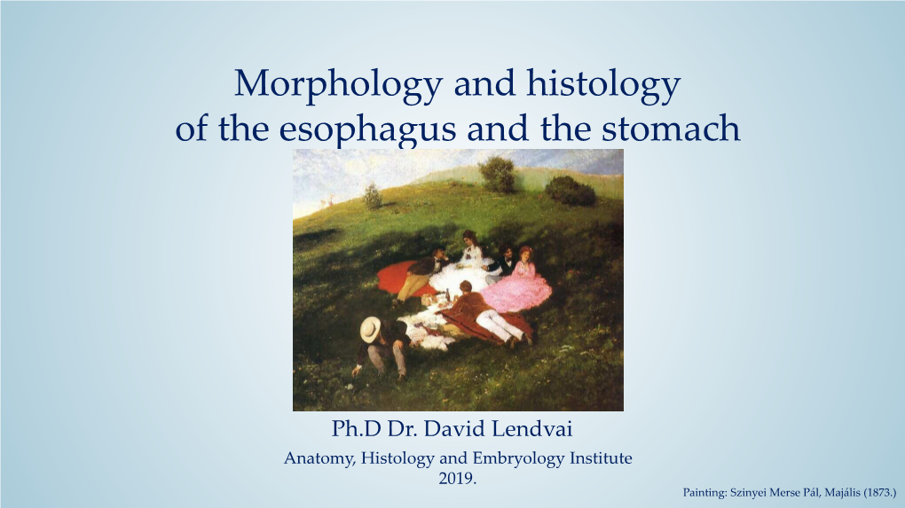 Morphology and Histology of the Esophagus and the Stomach