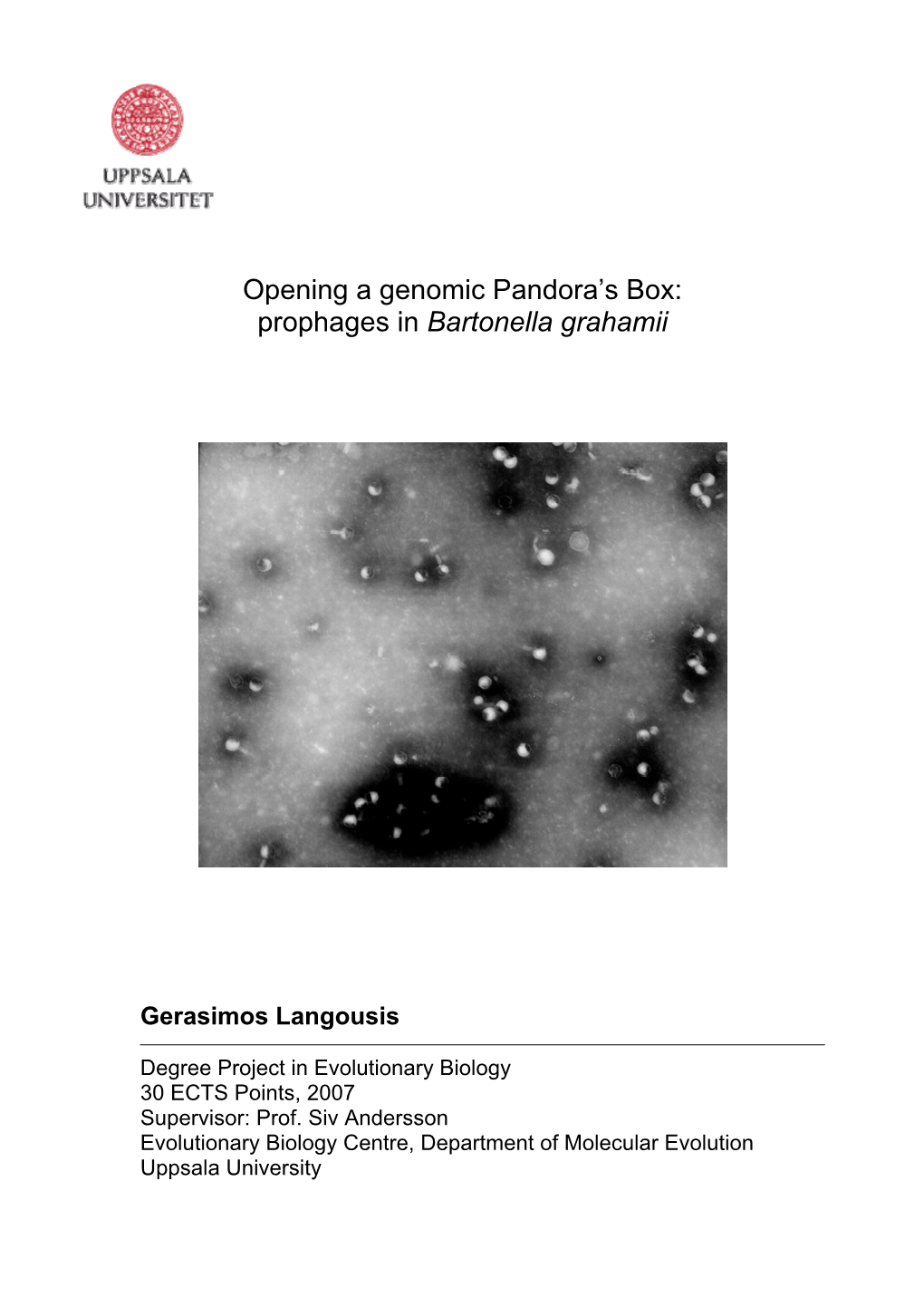 Opening a Genomic Pandora's Box: Prophages in Bartonella Grahamii