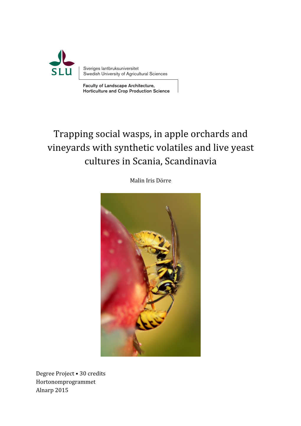 Trapping Social Wasps, in Apple Orchards and Vineyards with Synthetic Volatiles and Live Yeast Cultures in Scania, Scandinavia