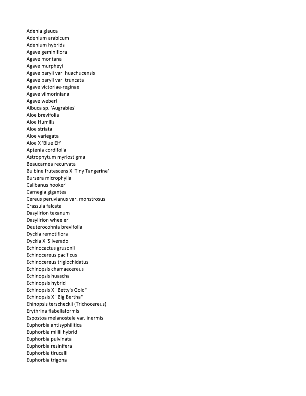 Adenia Glauca Adenium Arabicum Adenium Hybrids Agave Geminiflora Agave Montana Agave Murpheyi Agave Paryii Var