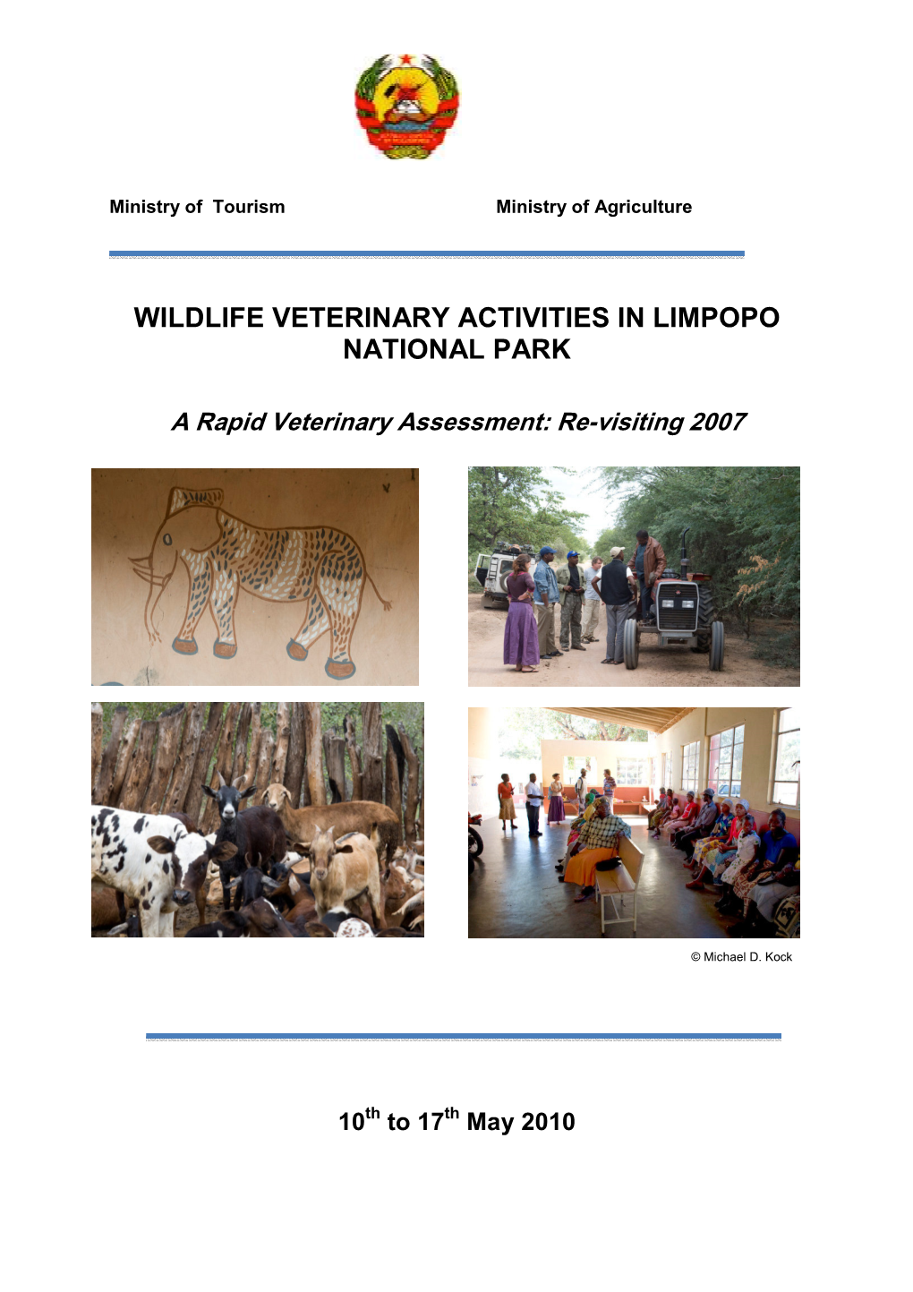 Wildlife Veterinary Activities in Limpopo National Park