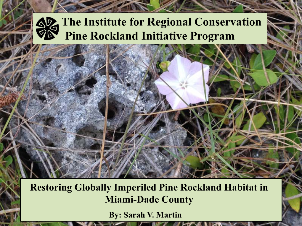 The Institute for Regional Conservation Pine Rockland Initiative Program
