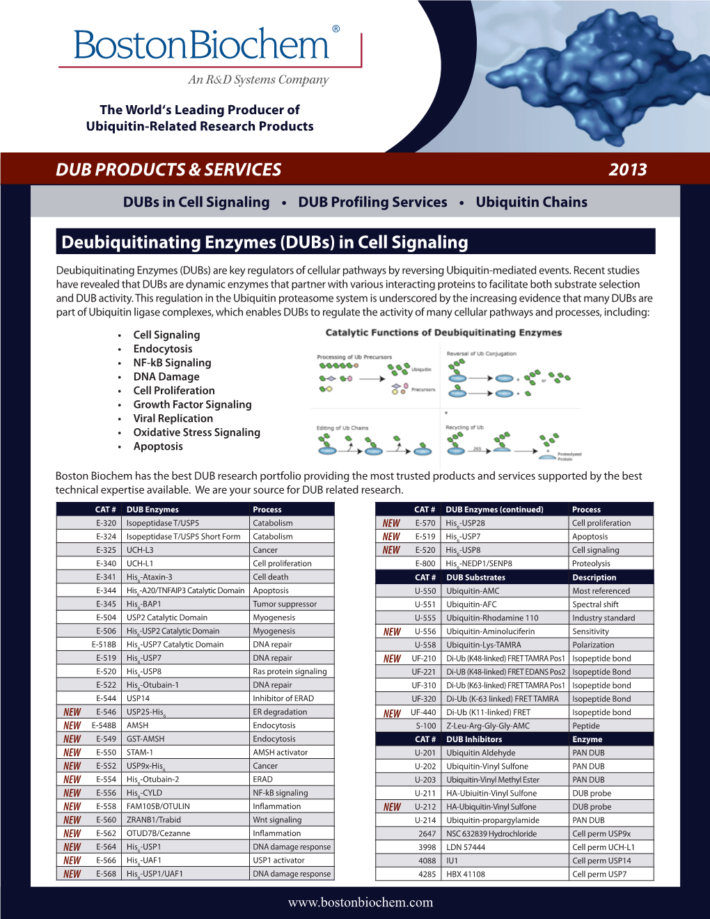 DUB PRODUCTS & SERVICES 2013 Deubiquitinating Enzymes (Dubs