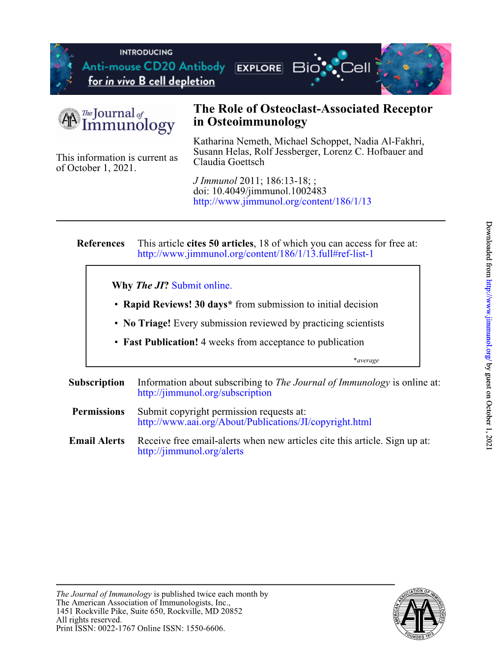 In Osteoimmunology the Role of Osteoclast-Associated Receptor