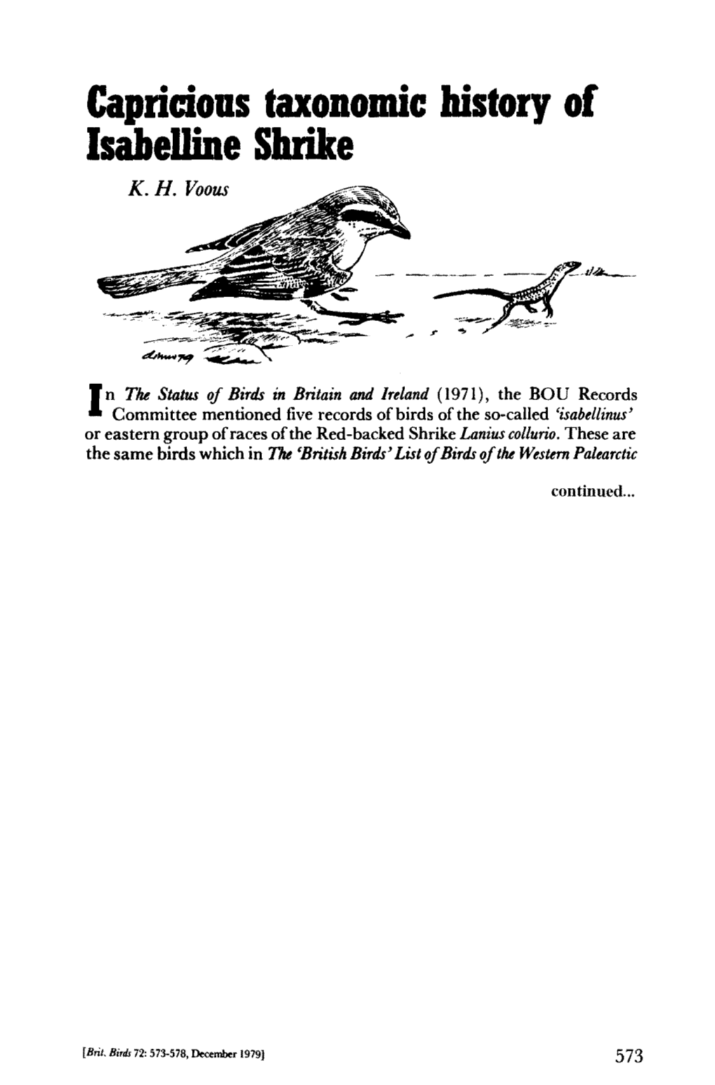 Capricious Taxonomic History of Isabelline Shrike