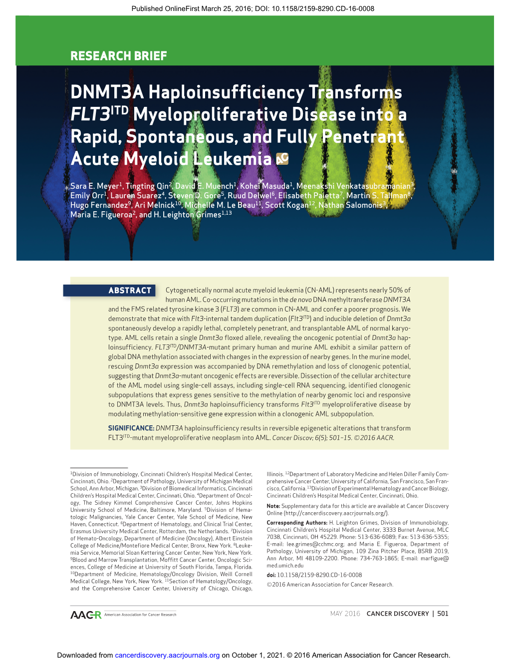 DNMT3A Haploinsufficiency Transforms FLT3 ITD