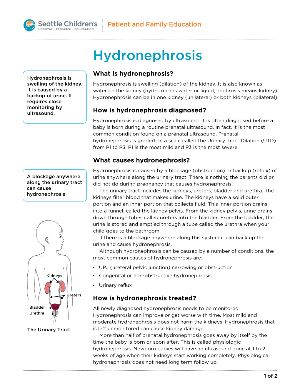 PE1320 Hydronephrosis