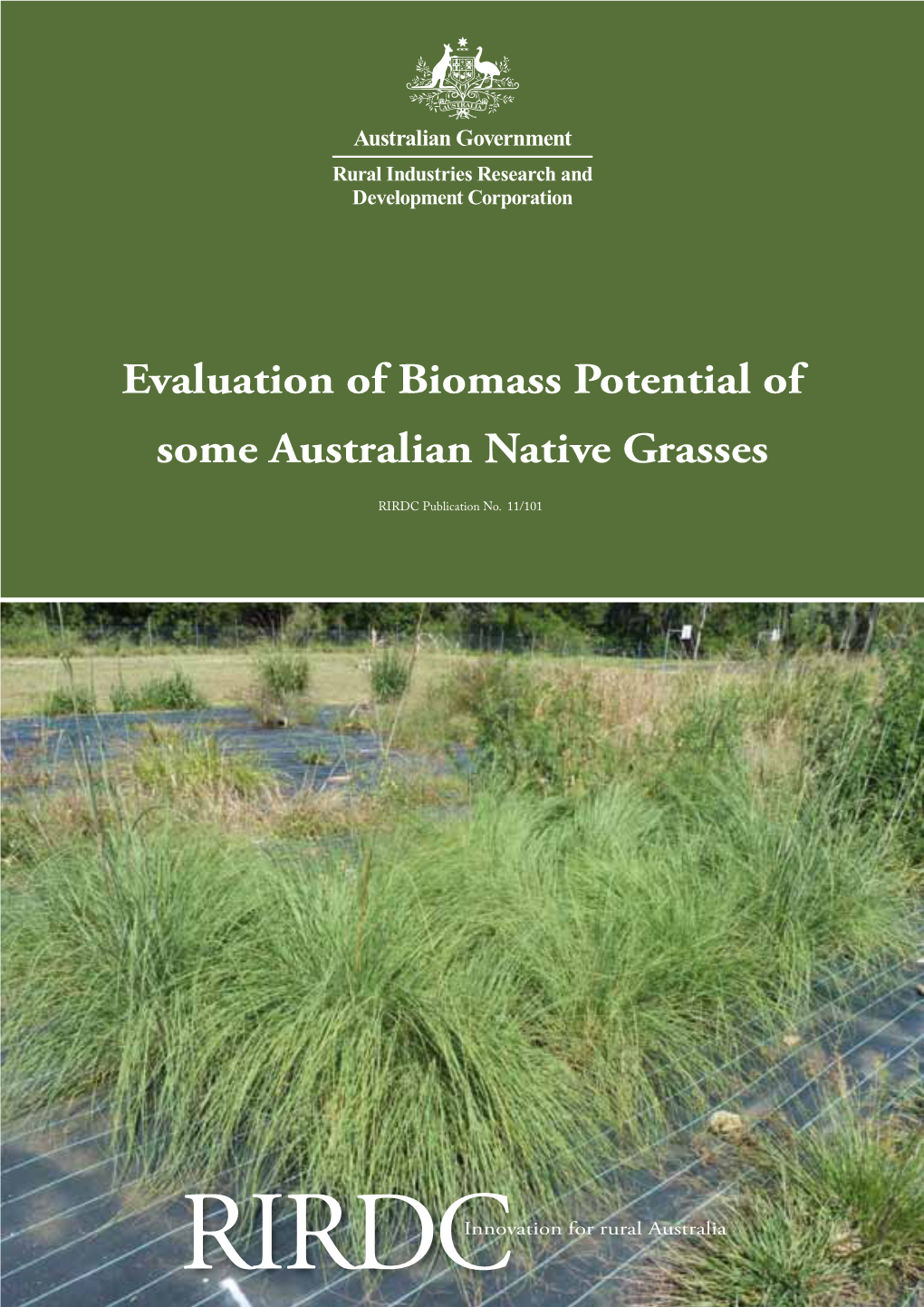 Evaluation of Biomass Potential of Some Australian Native Grasses