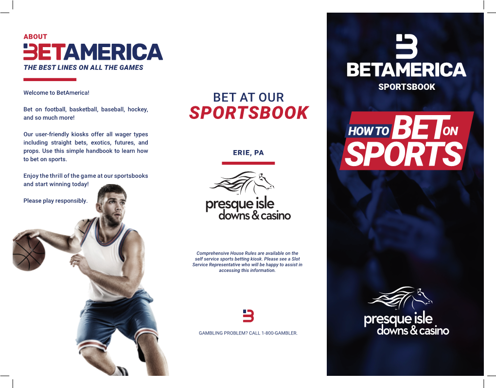 SPORTSBOOK Welcome to Betamerica! BET at OUR Bet on Football, Basketball, Baseball, Hockey, and So Much More! SPORTSBOOK