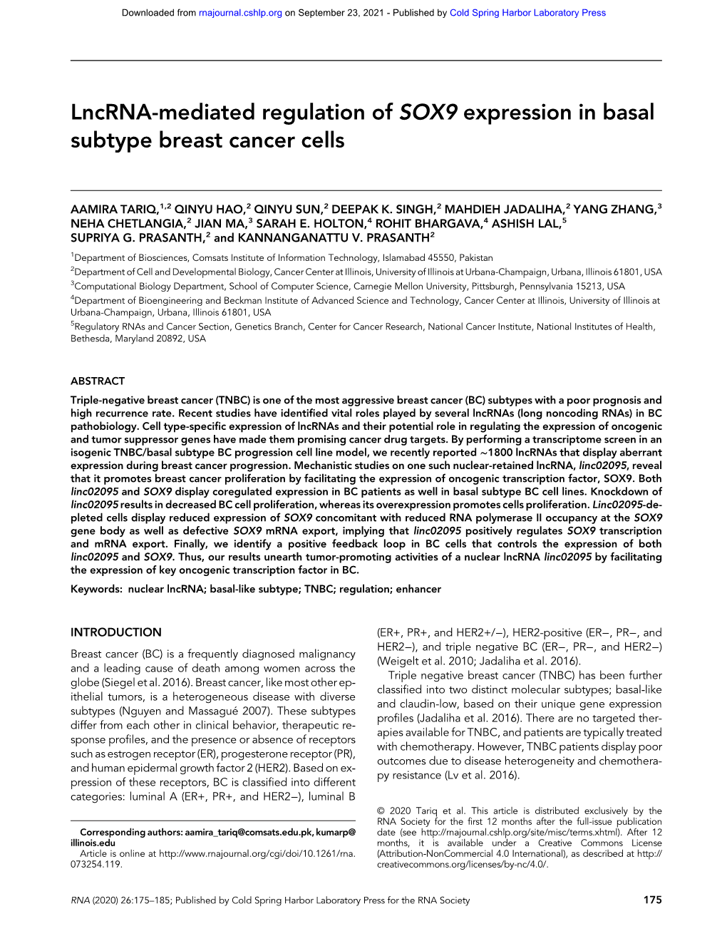 Lncrna-Mediated Regulation of SOX9 Expression in Basal Subtype Breast Cancer Cells