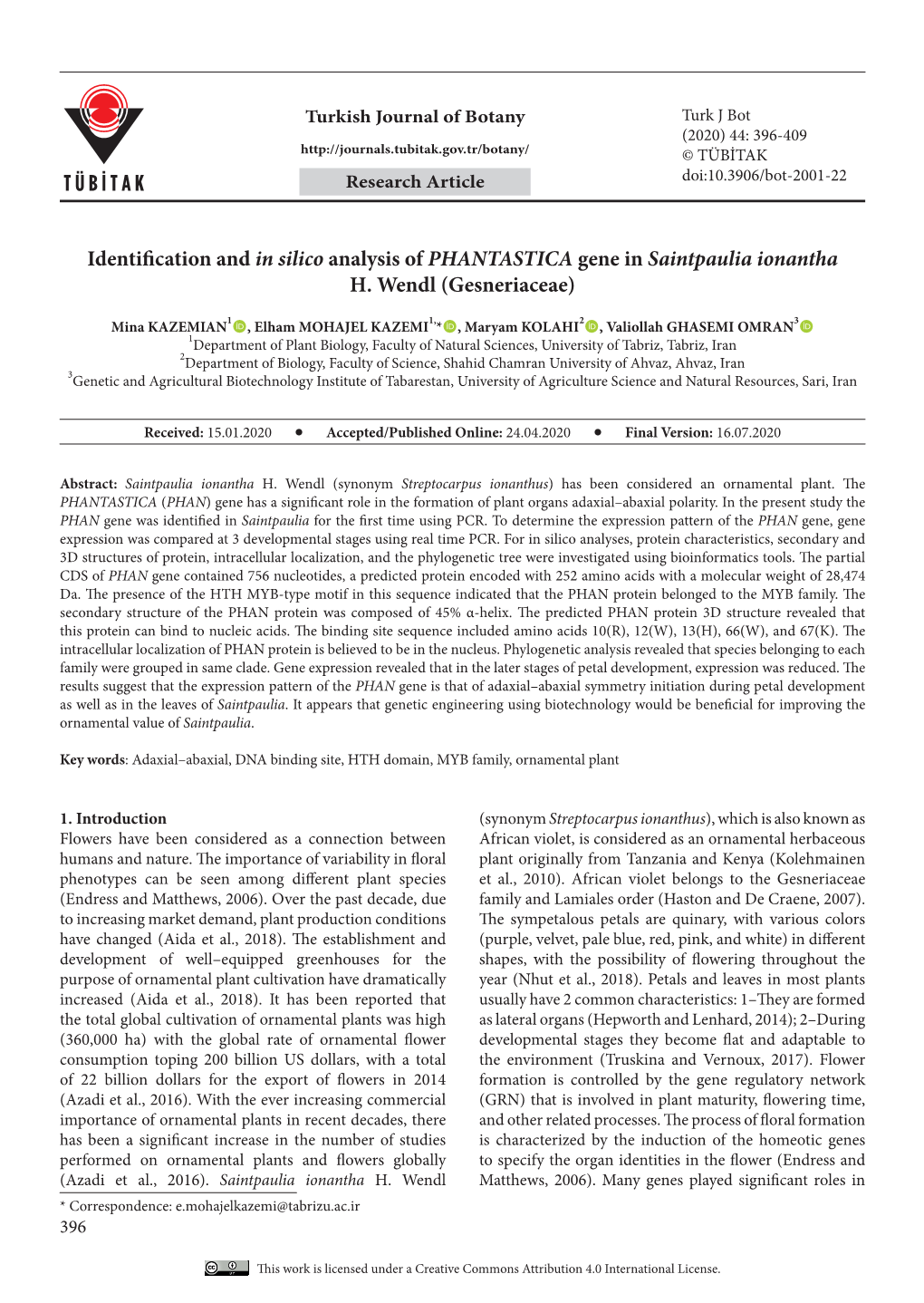 Identification and in Silico Analysis of PHANTASTICA Gene In