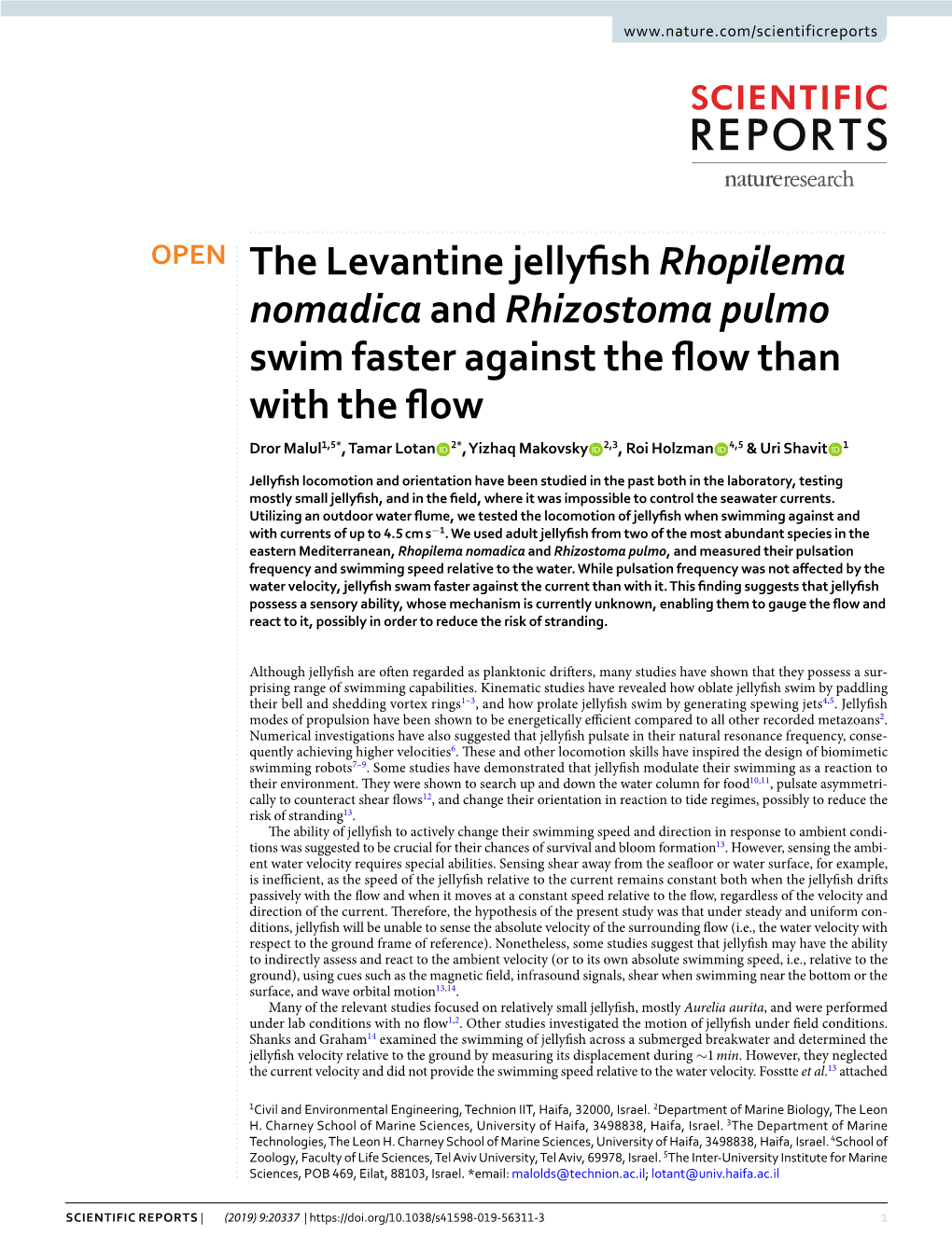 The Levantine Jellyfish Rhopilema Nomadica and Rhizostoma Pulmo Swim Faster Against the Flow Than with the Flow