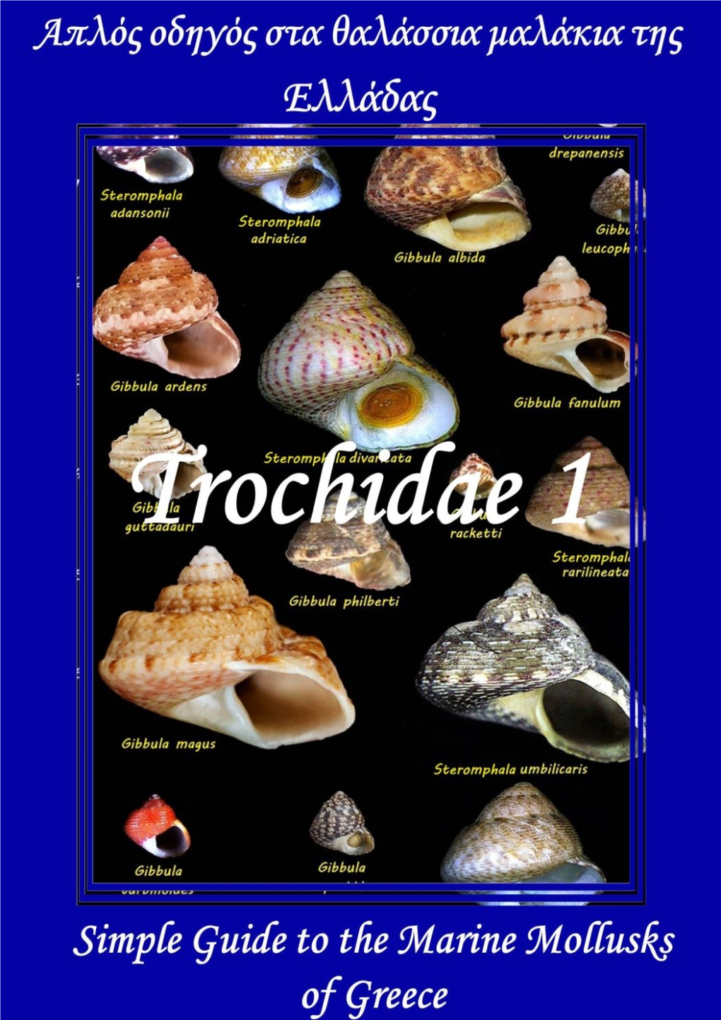 GR Simple Guide Trochidae 1.Pdf