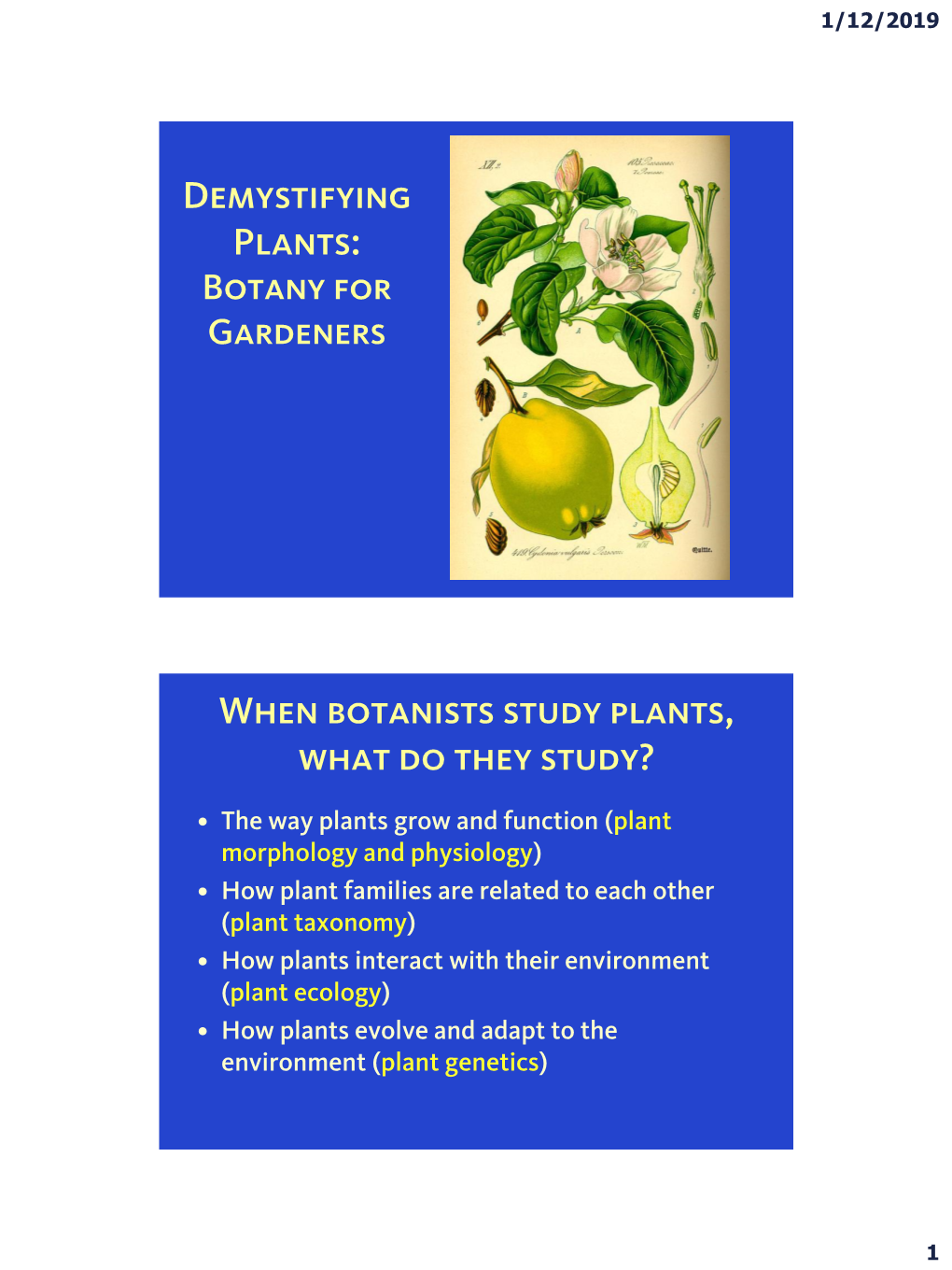 Demystifying Plants: When Botanists Study Plants, What Do They Study?