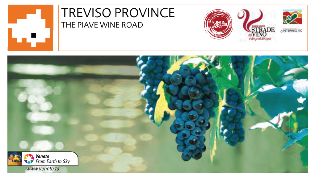 Treviso Province the Piave Wine Road Wine and Its Roads