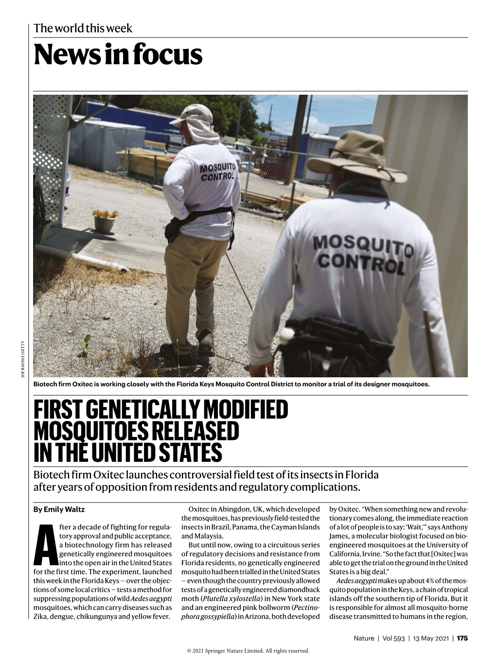 News in Focus JOE RAEDLE/GETTY Biotech Firm Oxitec Is Working Closely with the Florida Keys Mosquito Control District to Monitor a Trial of Its Designer Mosquitoes