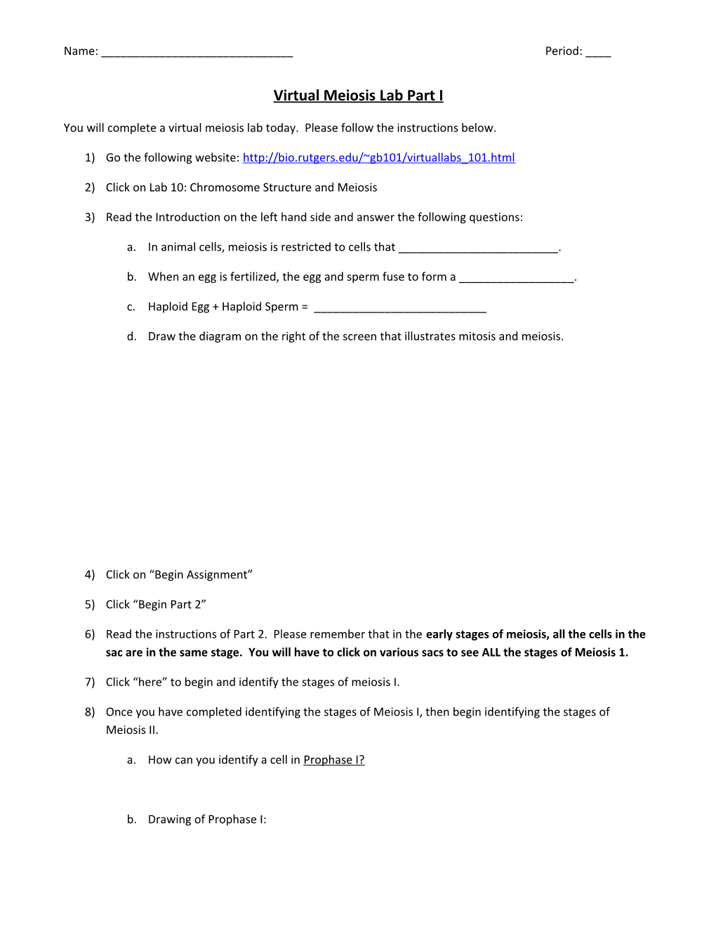 Virtual Meiosis Lab Part I