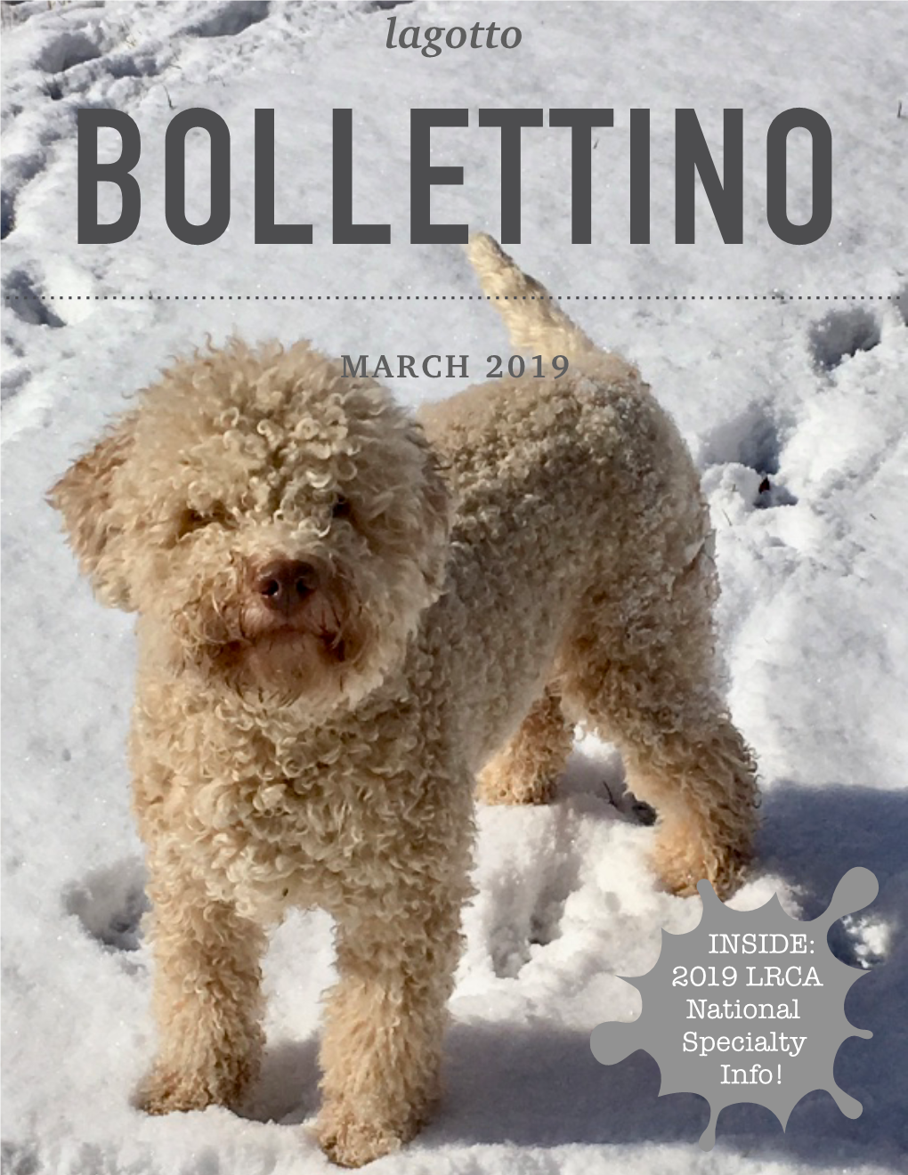 Final 2 Bollettino March 2019