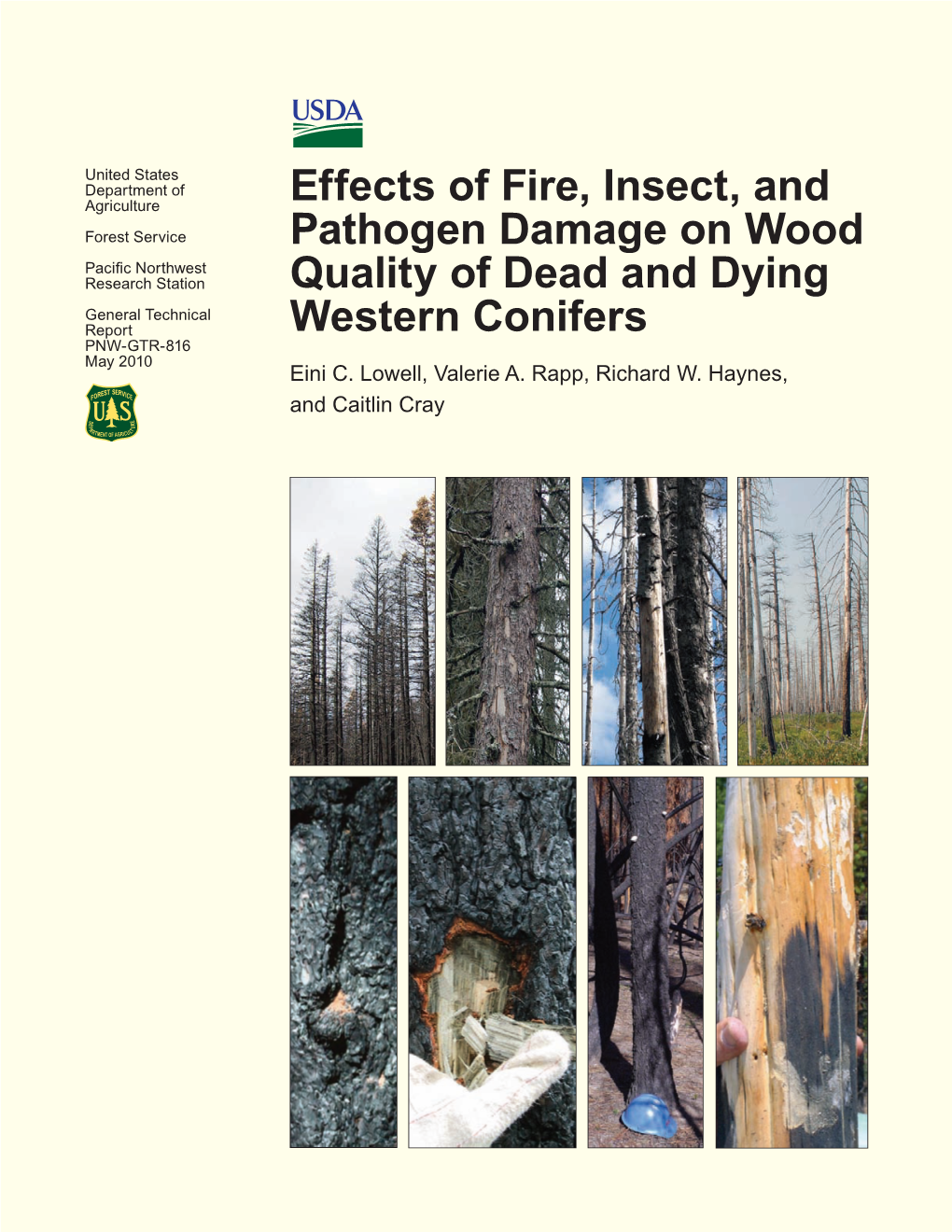 Effects of Fire, Insect, and Pathogen Damage on Wood Quality of Dead and Dying Western Conifers