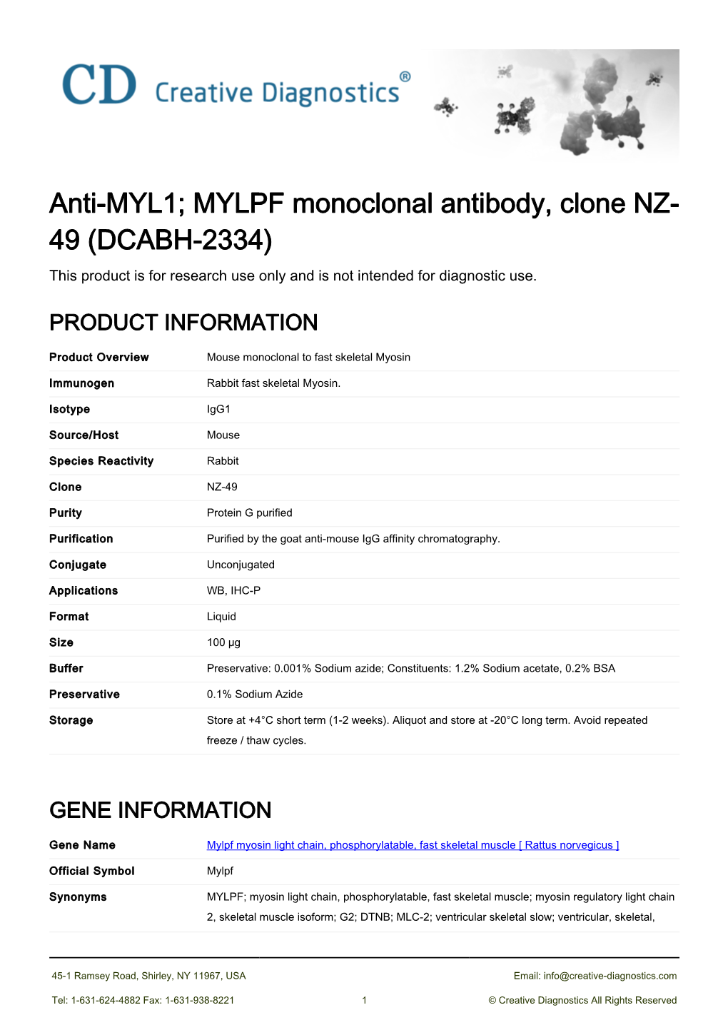 Anti-MYL1; MYLPF Monoclonal Antibody, Clone NZ-49