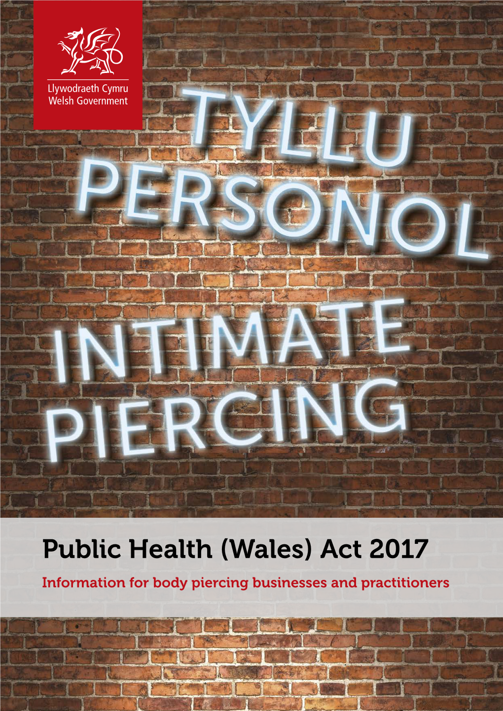 Public Health (Wales) Act 2017