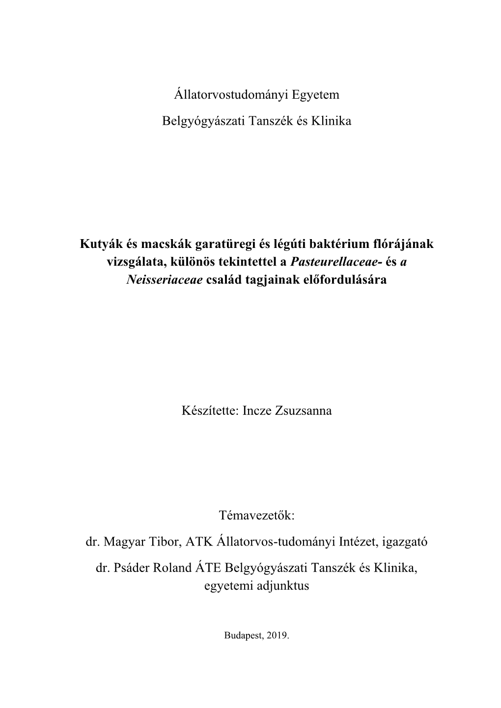 Incze Zsuzsanna Diplomamunka.Pdf