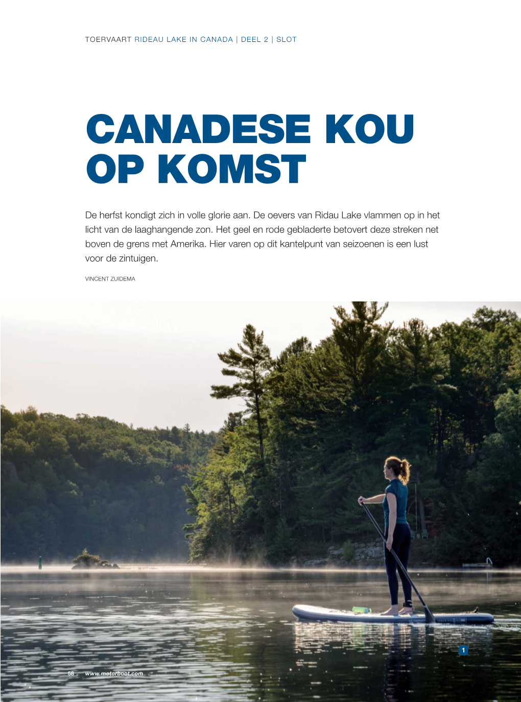 Canadese Kou Op Komst