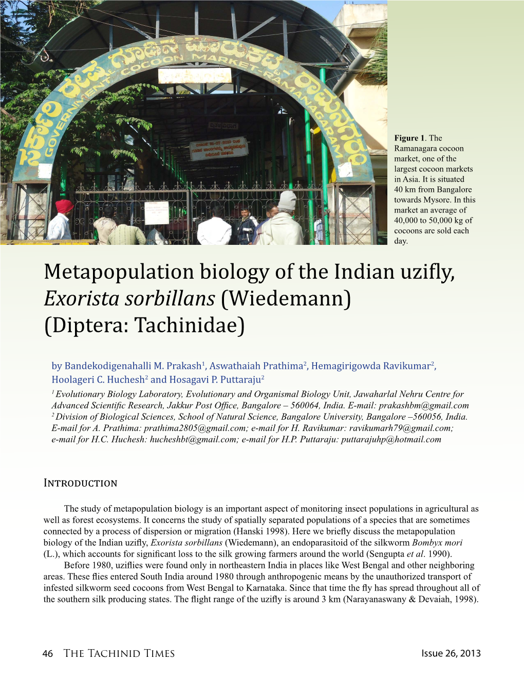 Metapopulation Biology of the Indian Uzifly, Exorista Sorbillans (Wiedemann) (Diptera: Tachinidae)