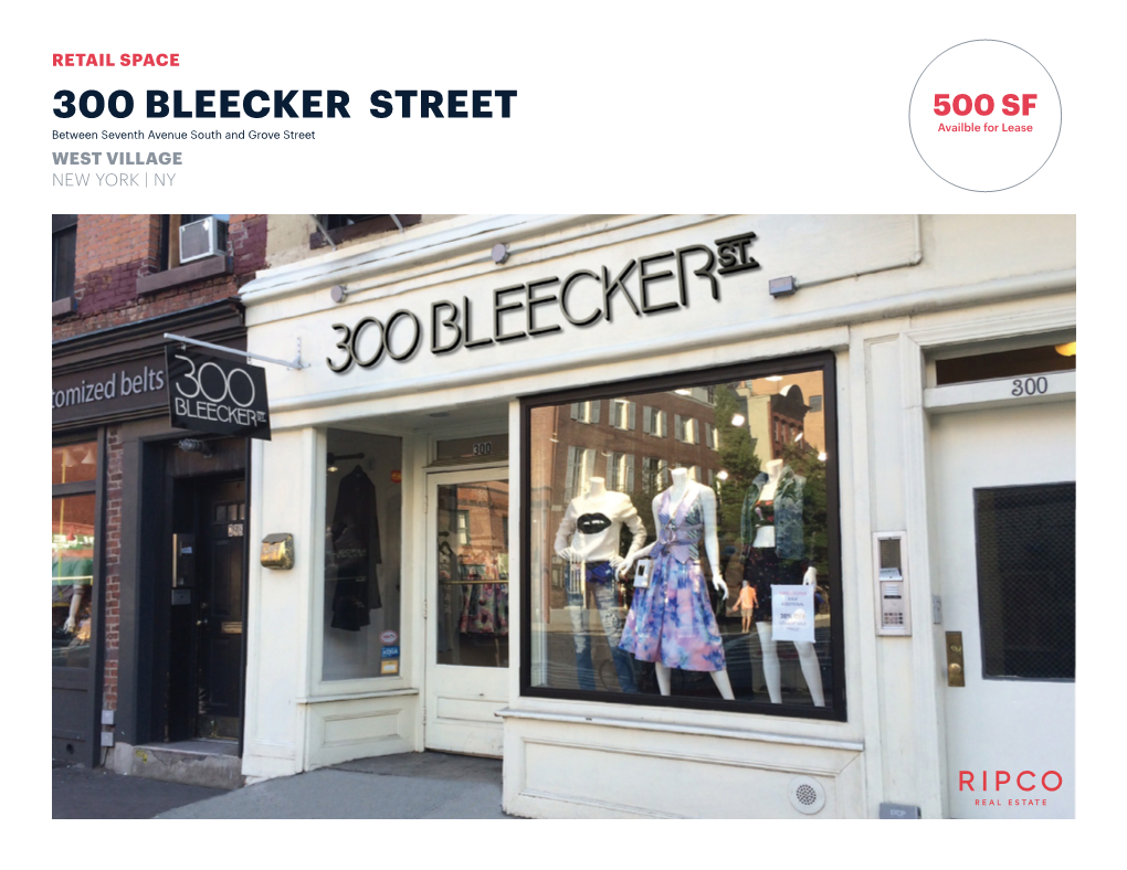 300 BLEECKER STREET 500 SF Availble for Lease Between Seventh Avenue South and Grove Street WEST VILLAGE NEW YORK | NY SPACE DETAILS