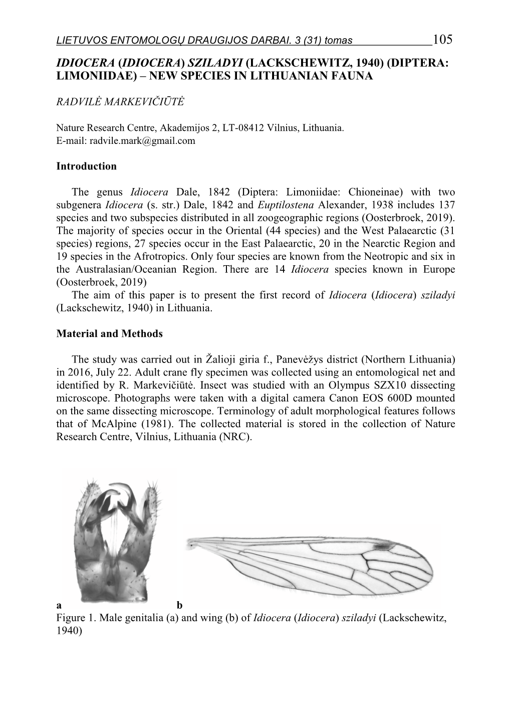 Idiocera (Idiocera) Sziladyi (Lackschewitz, 1940) (Diptera: Limoniidae) – New Species in Lithuanian Fauna