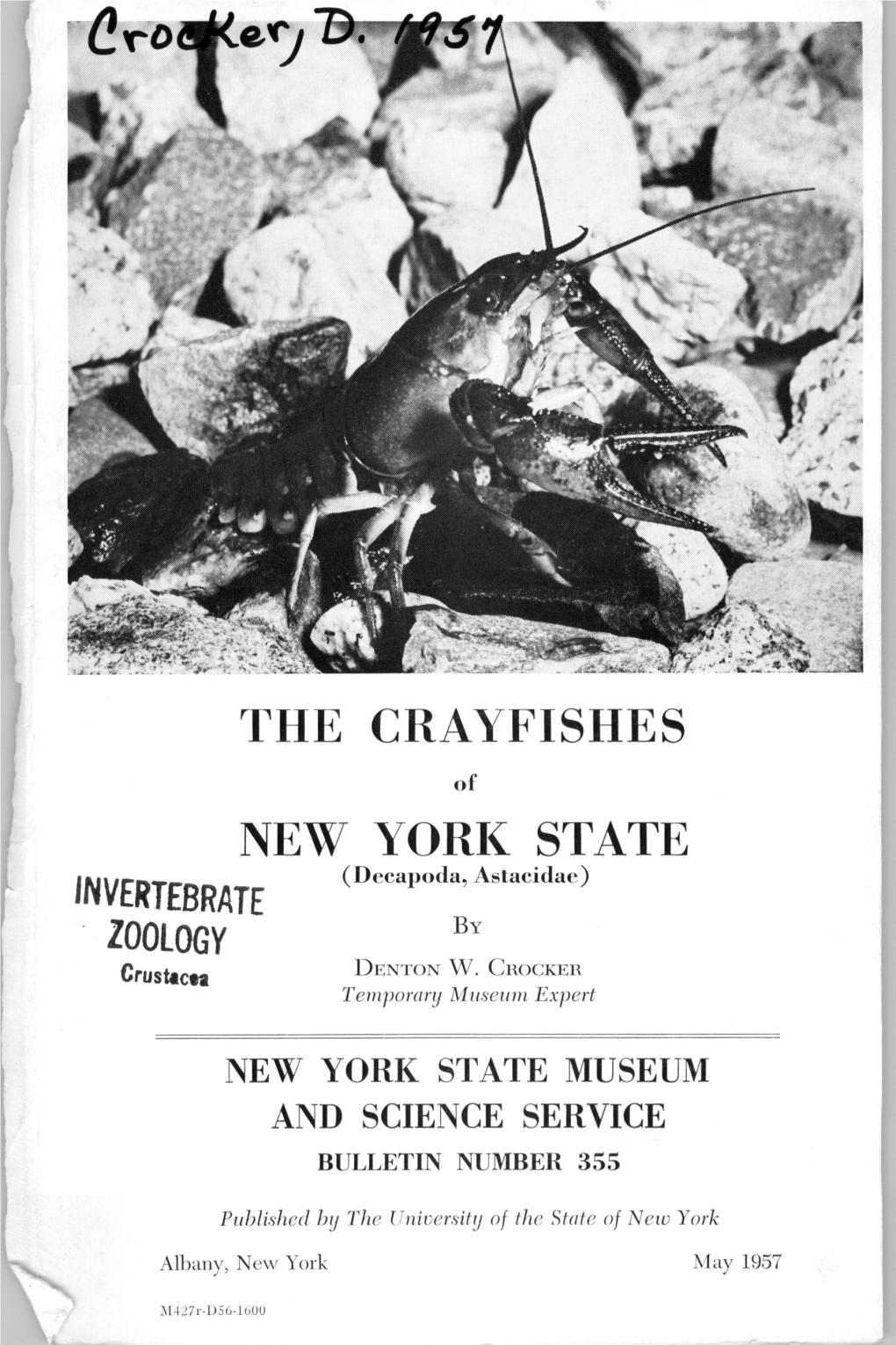 THE CRAYFISHES NEW YORK STATE (Decapoda, Astaeidae)