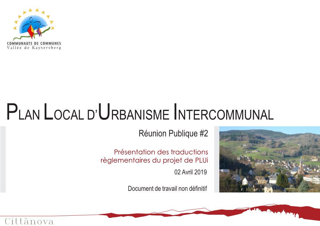 Plan Local D'urbanisme Intercommunal