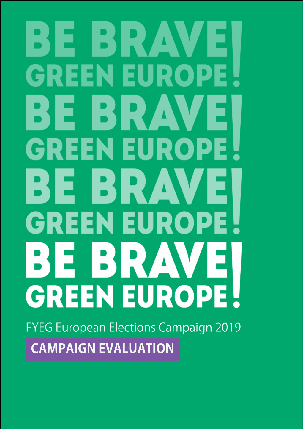 Download the Campaign Evaluation Report