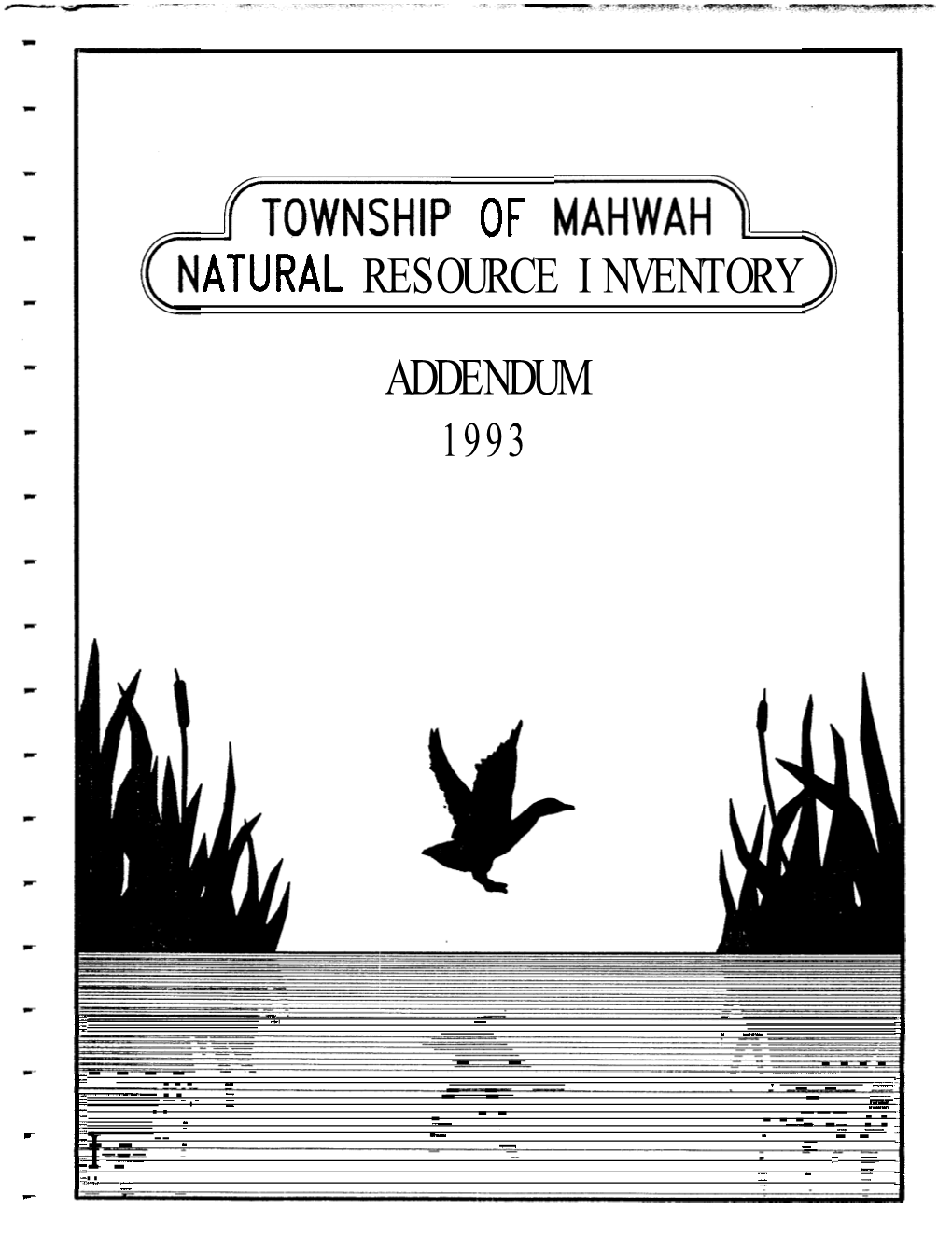 TOWNSHIP of Tdatiwat43 ATURAL RESOURCE INVENTORY ADDENDUM 1993