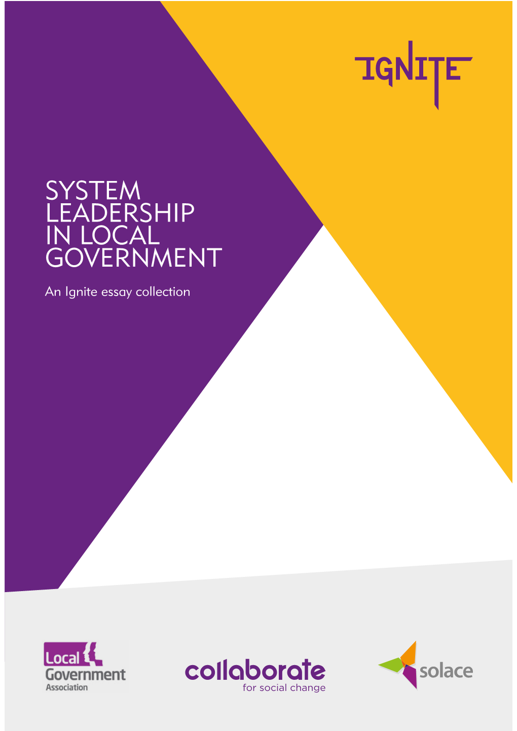 SYSTEM LEADERSHIP in LOCAL GOVERNMENT an Ignite Essay Collection 2 3