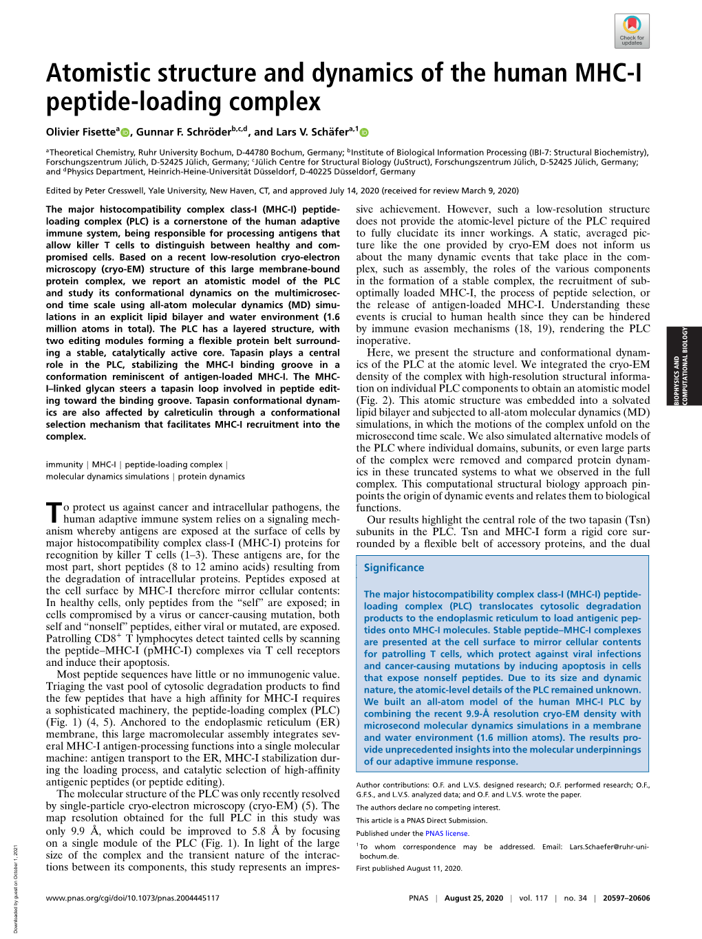 Atomistic Structure and Dynamics of the Human MHC-I Peptide-Loading Complex