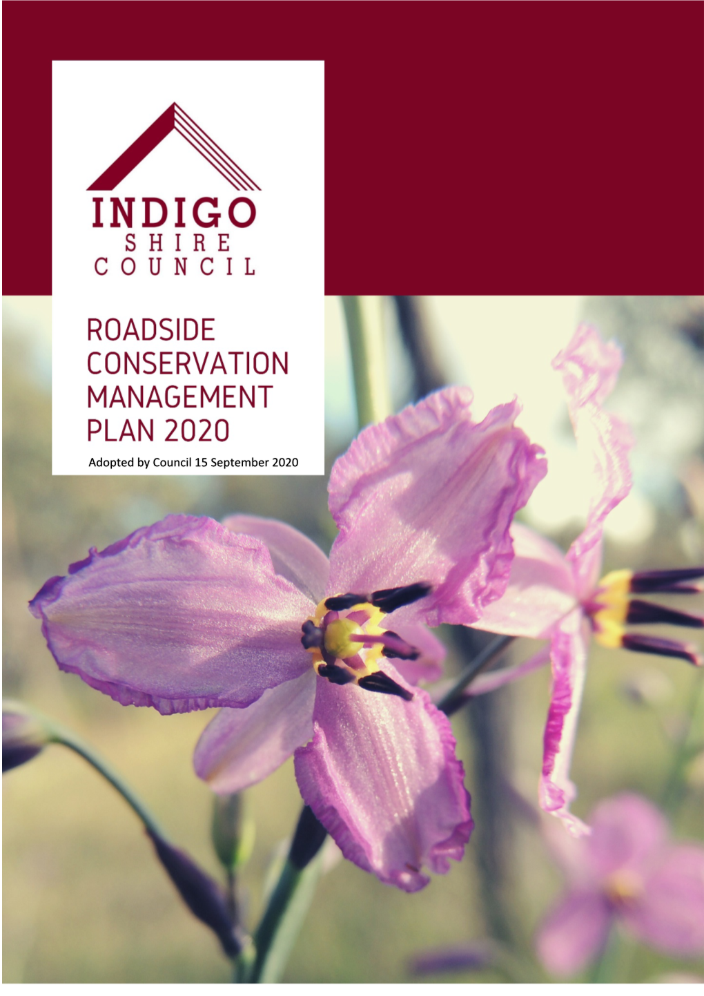 Roadside Conservation Management Plan 2020 INTERNAL 2020/06813