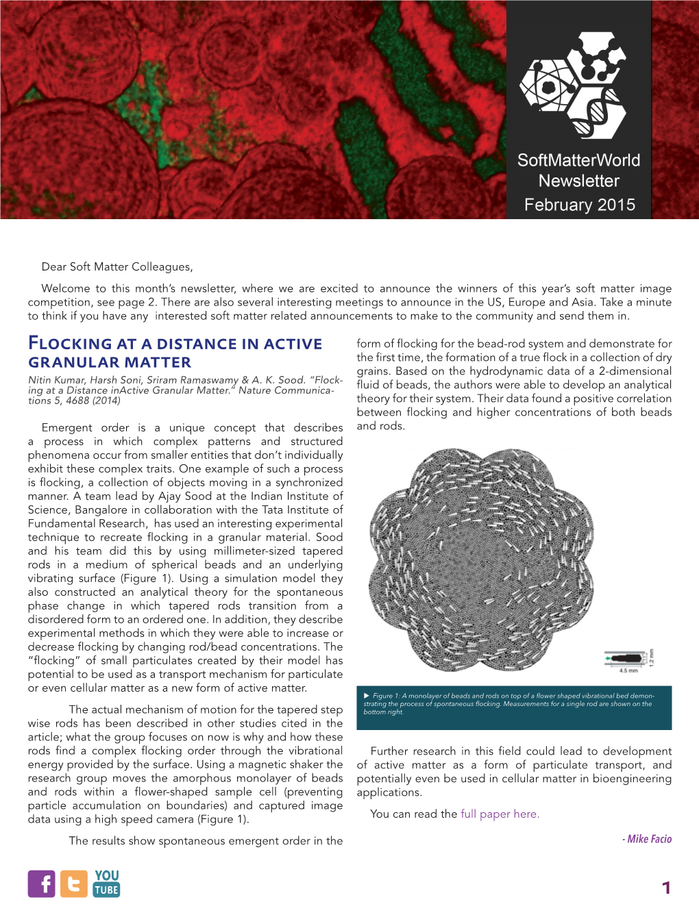 Flocking at a Distance in Active Granular Matter