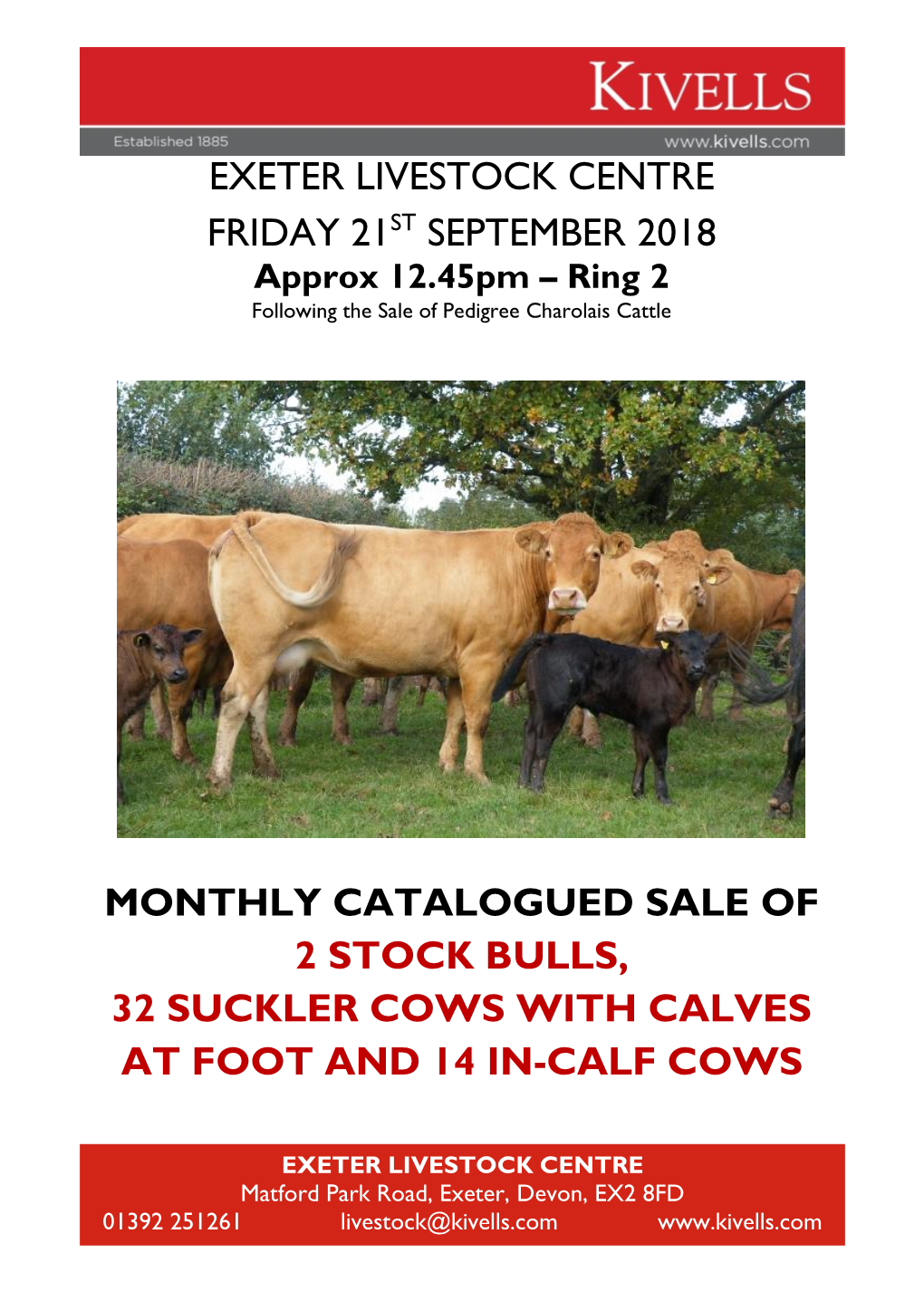 Exeter Livestock Centre Friday 21St September 2018