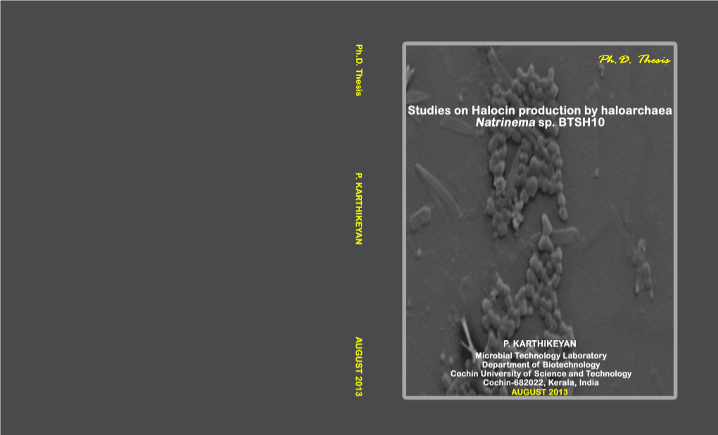 Studies on Halocin Production by Haloarchaea Natrinema Sp. BTSH10