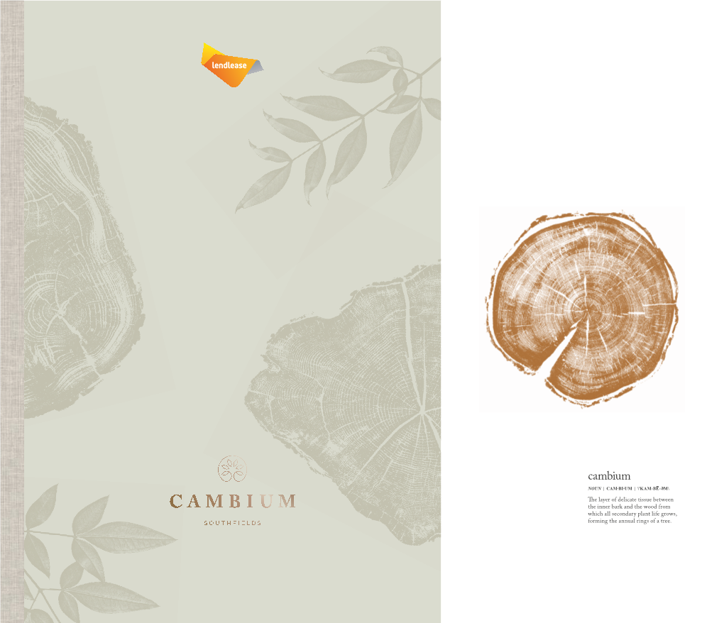 Brochure-Cambium-Houses-NEW.Pdf