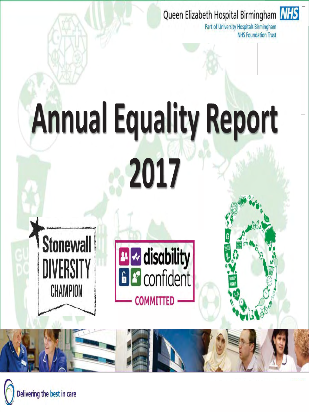 Annual Equality and Diversity Report (2017)