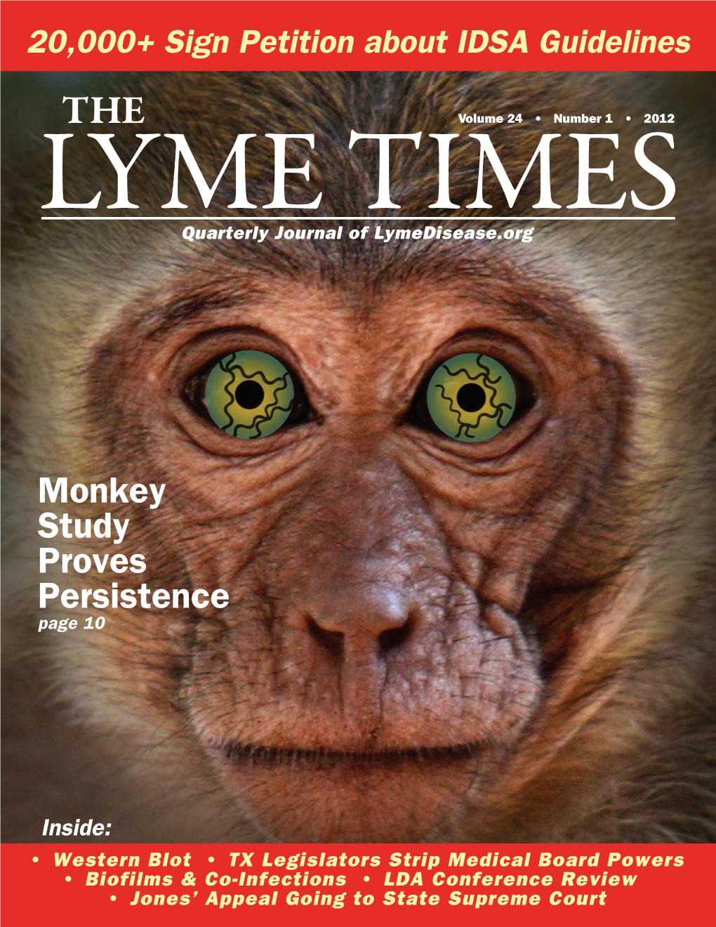 The Lyme Times, and Maintain an Educational Website At