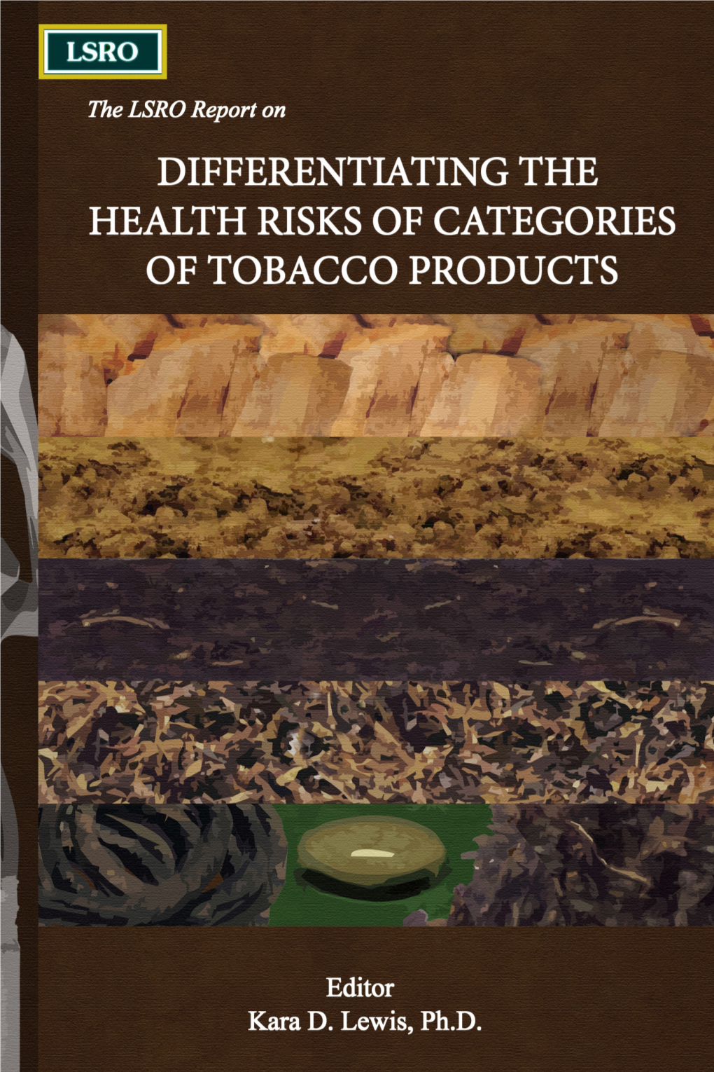 2008 Differentiating the Health Risks of Tobacco Products.Pdf