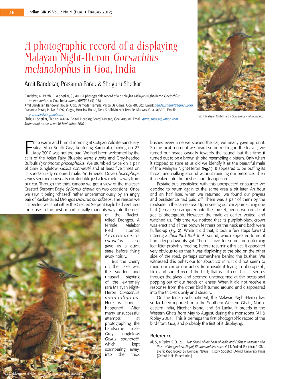 A Photographic Record of a Displaying Malayan Night-Heron Gorsachius Melanolophus in Goa, India Amit Bandekar, Prasanna Parab & Shriguru Shetkar