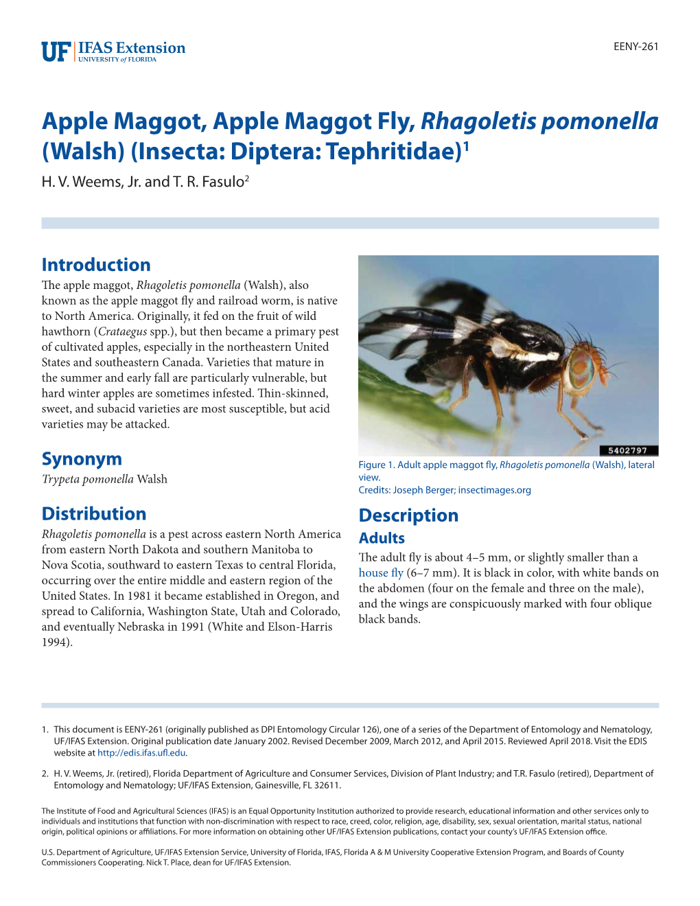 Apple Maggot, Apple Maggot Fly, Rhagoletis Pomonella (Walsh) (Insecta: Diptera: Tephritidae)1 H