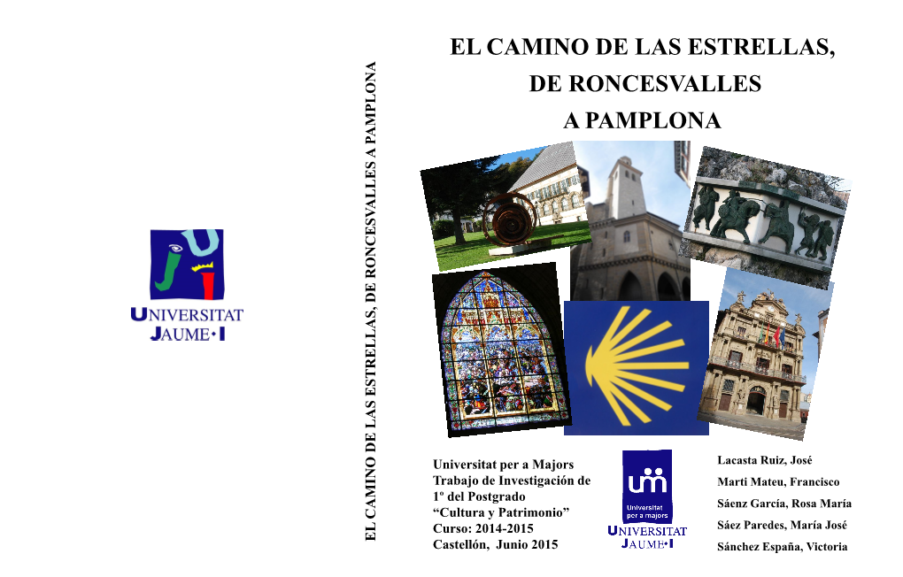 El Camino De Las Estrellas, De Roncesvalles a Pamplona