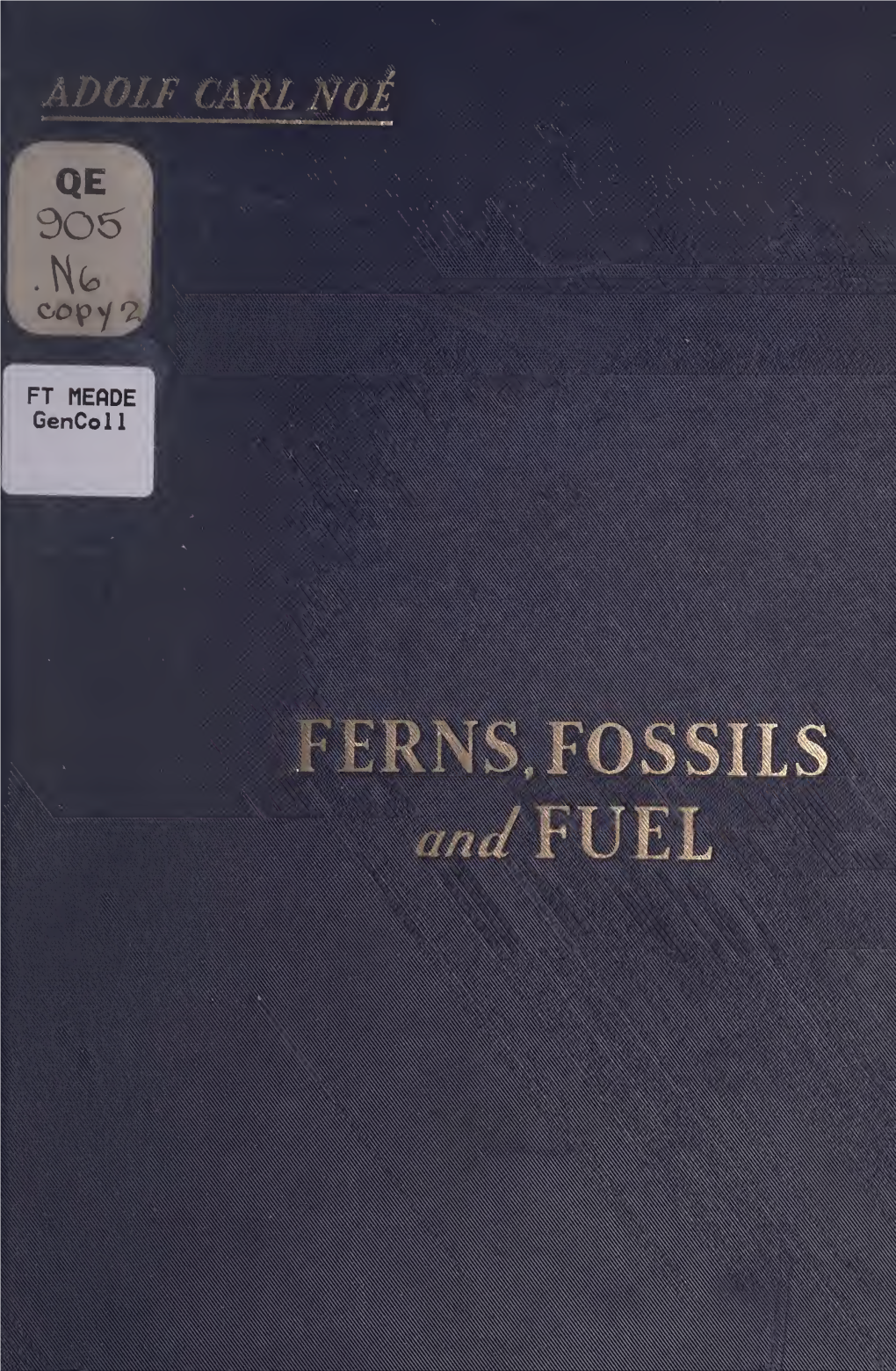 Ferns, Fossils and Fuel;The Story of Plant Life on Earth